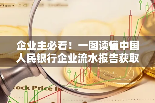 企业主必看！一图读懂中国人民银行企业流水报告获取全流程