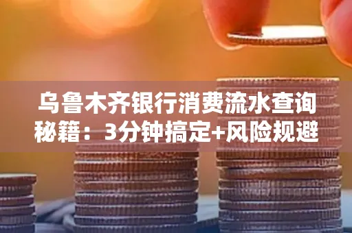 乌鲁木齐银行消费流水查询秘籍：3分钟搞定+风险规避干货