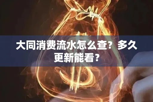 大同消费流水怎么查？多久更新能看？