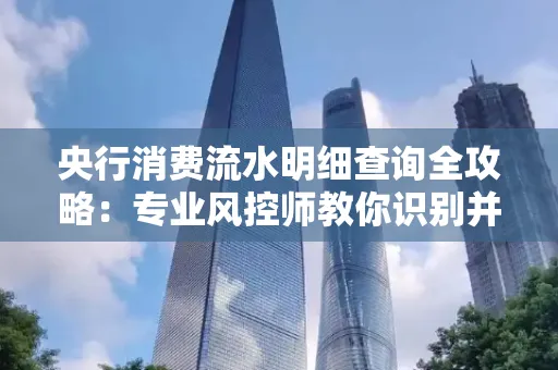 央行消费流水明细查询全攻略：专业风控师教你识别并规避用卡风险！
