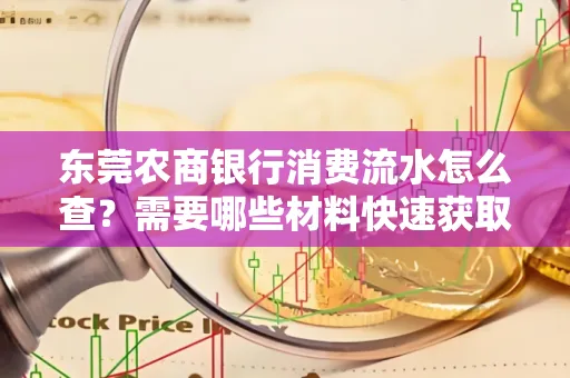东莞农商银行消费流水怎么查？需要哪些材料快速获取？